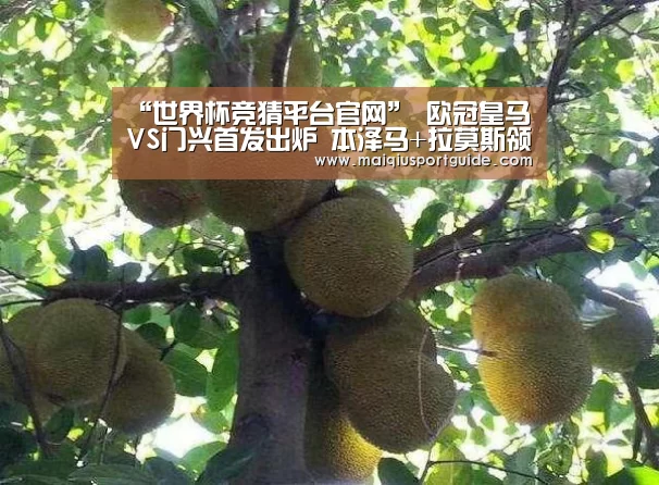“世界杯竞猜平台官网”
欧冠皇马VS门兴首发出炉 本泽马+拉莫斯领衔 阿扎尔+莫德里奇替补(图1) 2026世界杯投注平台