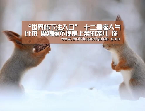 2026世界杯投注平台