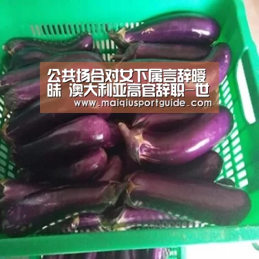 世界杯竞猜平台官网
